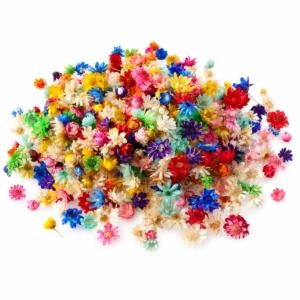 Flores secas mini