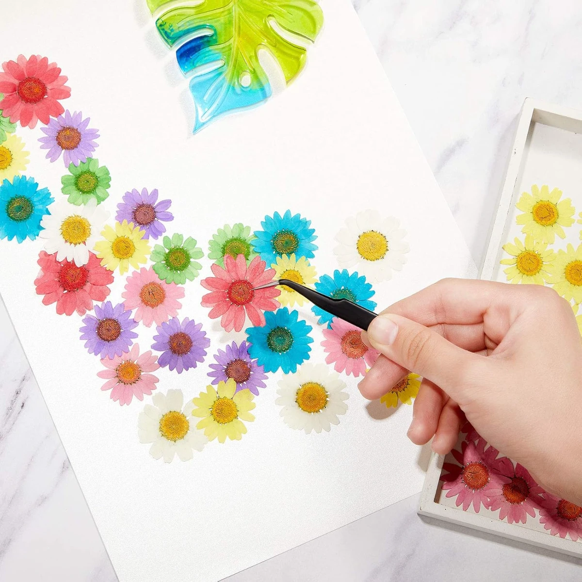 Flores secas decorativas pack 12 unidades - Imagen 6