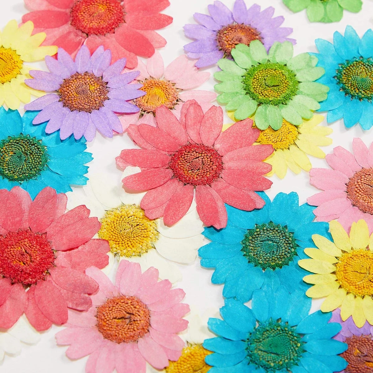 Flores secas decorativas pack 12 unidades - Imagen 8